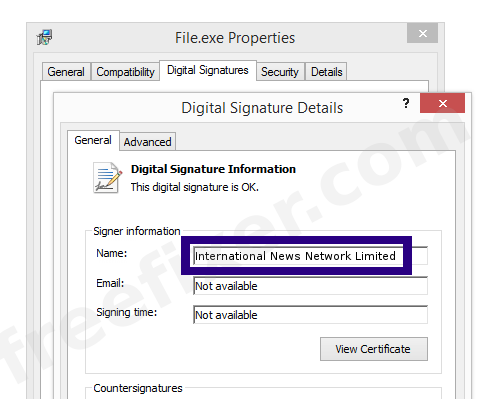 Screenshot of the International News Network Limited certificate